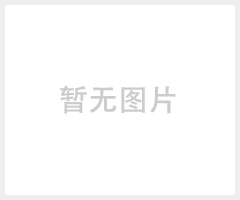 佛山卡斯特厂家6025-1-TO-GB家具脚轮椅子脚轮批发代理